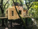 Award Winning Woodsman`s Treehouse in Dorset
